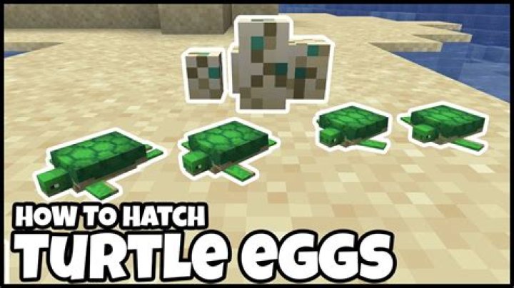 How long does it take for a turtle egg to hatch minecraft