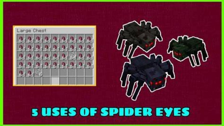 What can i do with spider eyes in minecraft