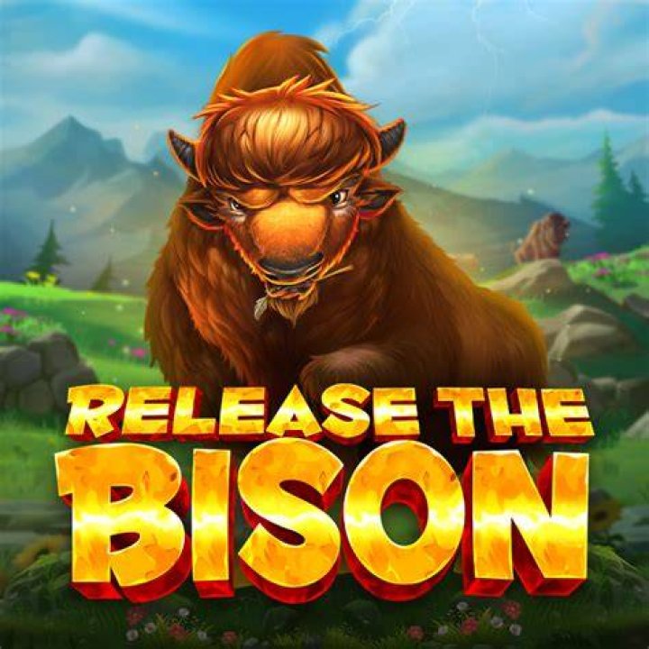 What channel is the bison game on