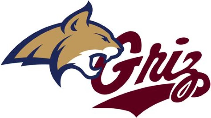 What channel is the cat griz game on