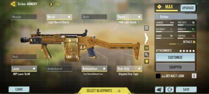What is a striker in call of duty mobile